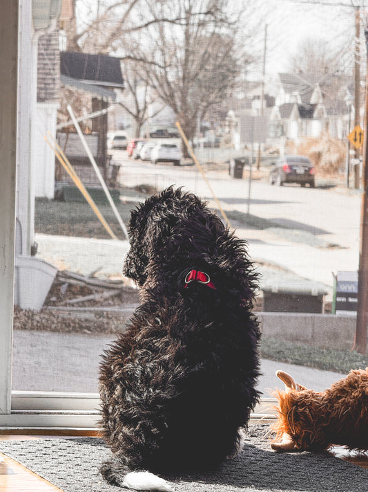 Benny’s Farm Dog Fix-it Balm